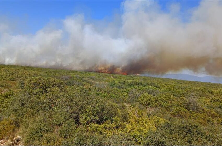  Didim’de çıkan orman yangın söndürme çalışmaları devam ediyor