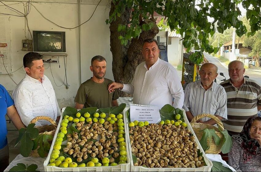  Nazilli’de sezonunun ilk kuru incir alım satımı sembolik olarak gerçekleştirildi